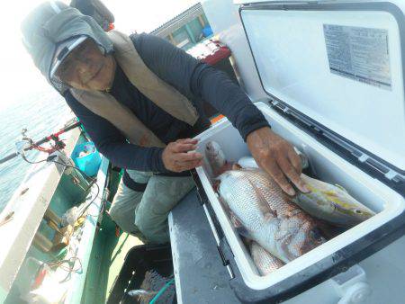大進丸（愛知） 釣果