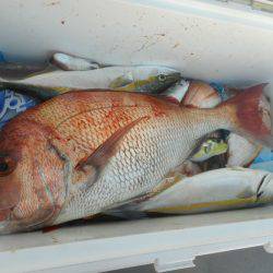 大進丸（愛知） 釣果