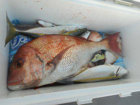 大進丸（愛知） 釣果