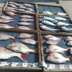 大進丸（愛知） 釣果