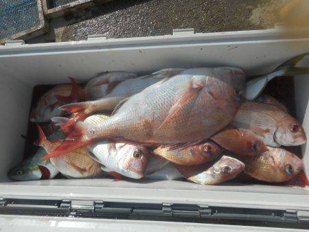 大進丸（愛知） 釣果