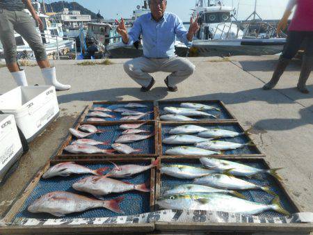 大進丸（愛知） 釣果