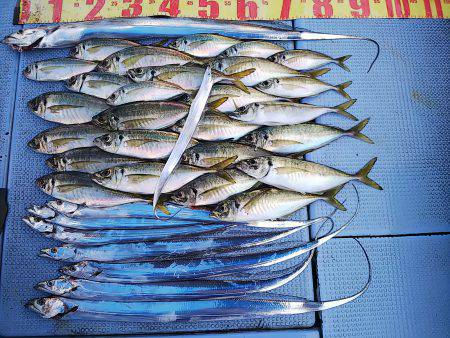 第二常豊丸 釣果