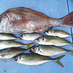 第二常豊丸 釣果