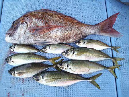 第二常豊丸 釣果