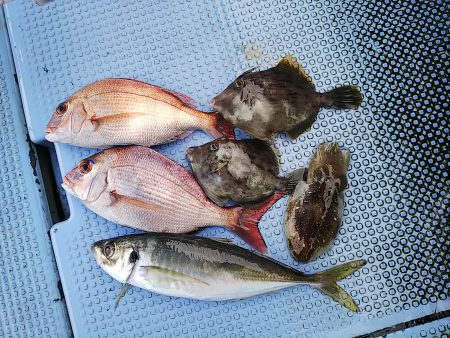 第二常豊丸 釣果