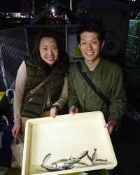 和歌山マリーナシティ釣り公園 釣果