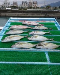 和歌山マリーナシティ釣り堀 釣果