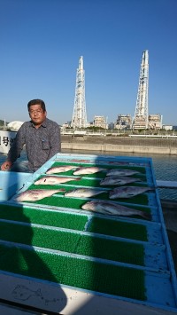 和歌山マリーナシティ釣り堀 釣果