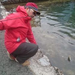 フィッシングエリア帝釈 釣果
