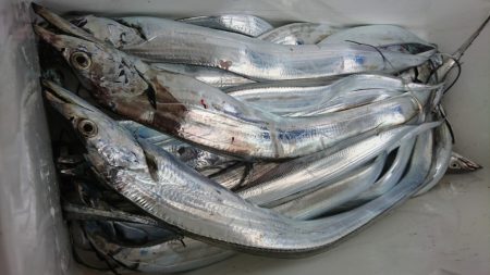 武士(SAMURAI) 釣果