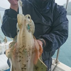 武士(SAMURAI) 釣果