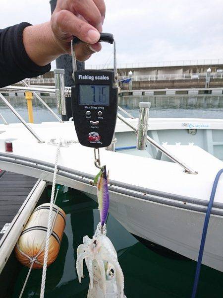 フィッシングボートACE(エース) 釣果