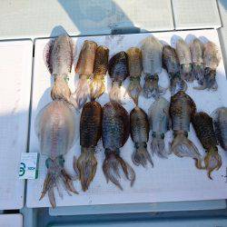 フィッシングボートACE(エース) 釣果