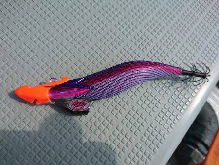 フィッシングボートACE（エース） 釣果