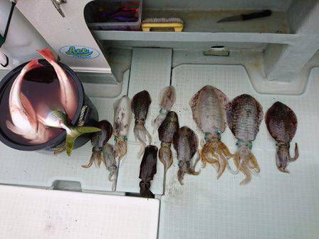 フィッシングボートACE（エース） 釣果