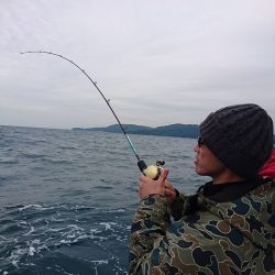 フィッシングボートACE(エース) 釣果