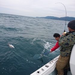 フィッシングボートACE(エース) 釣果