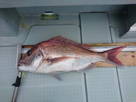 フィッシングボートACE(エース) 釣果