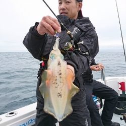 フィッシングボートACE（エース） 釣果