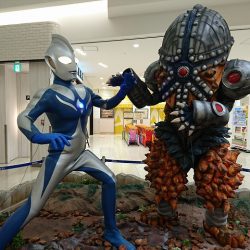 フィッシングボートACE(エース) 釣果