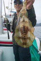 愛海丸 釣果
