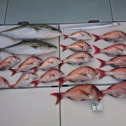 フィッシングボートACE(エース) 釣果