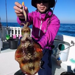 フィッシングボートACE(エース) 釣果