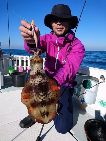 フィッシングボートACE(エース) 釣果