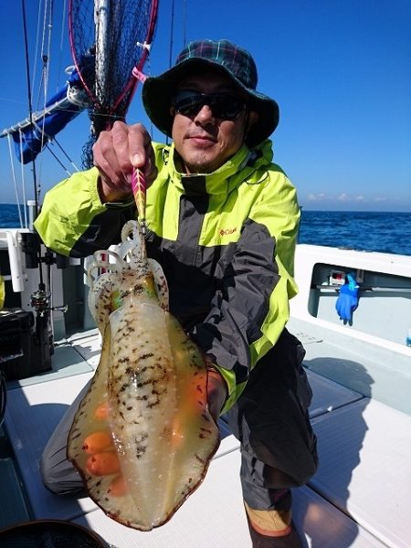 フィッシングボートACE(エース) 釣果