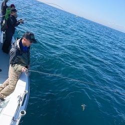 フィッシングボートACE(エース) 釣果