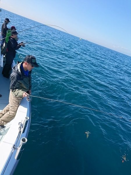 フィッシングボートACE(エース) 釣果