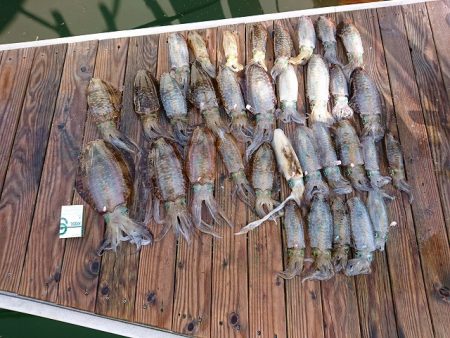 フィッシングボートACE(エース) 釣果