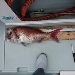 フィッシングボートACE(エース) 釣果