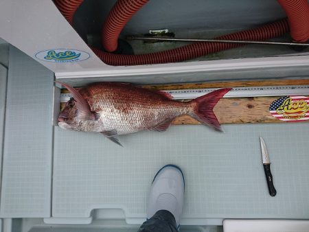 フィッシングボートACE(エース) 釣果