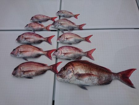 フィッシングボートACE（エース） 釣果