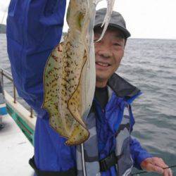 シードリーム 釣果