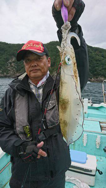 シードリーム 釣果