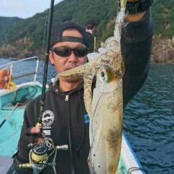 シードリーム 釣果