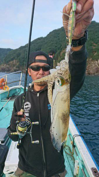 シードリーム 釣果