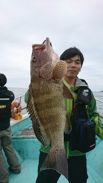 シードリーム 釣果