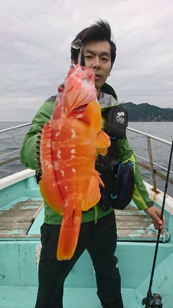 シードリーム 釣果