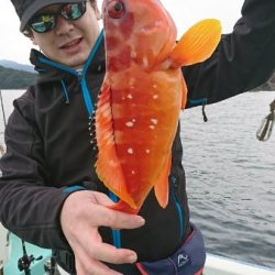 シードリーム 釣果