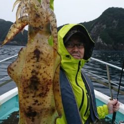 シードリーム 釣果