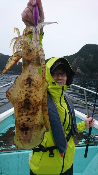 シードリーム 釣果