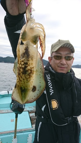 シードリーム 釣果