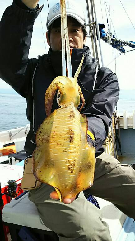金剛丸 釣果