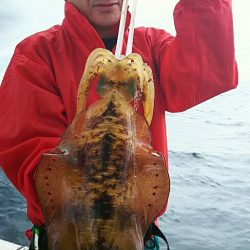 金剛丸 釣果