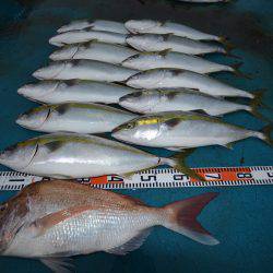 アジアマリンサービス 釣果