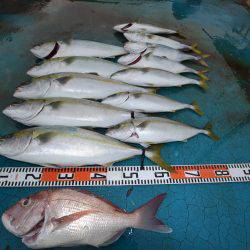 アジアマリンサービス 釣果